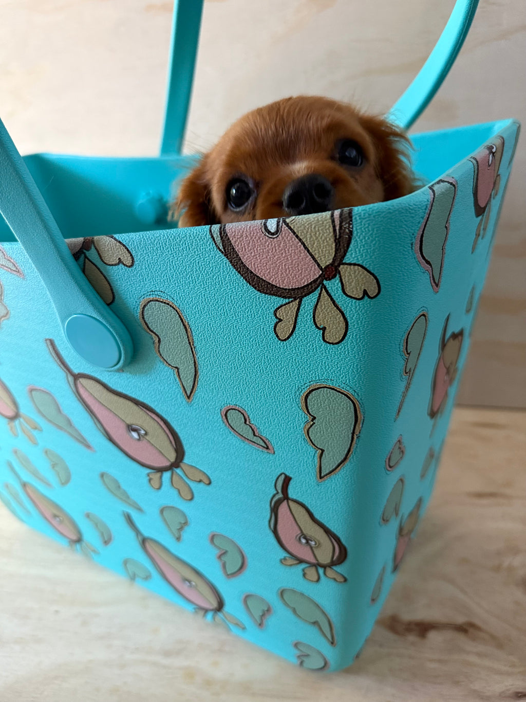 MY ART ON BAGS: Paisley Pear